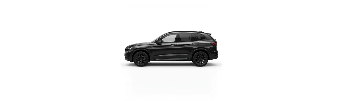 SUV / Crossover